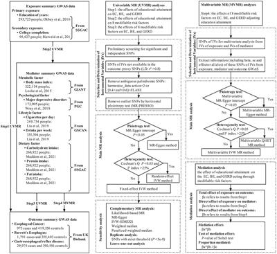 Association of educational attainment with esophageal cancer, Barrett's esophagus, and gastroesophageal reflux disease, and the mediating role of modifiable risk factors: A Mendelian randomization study